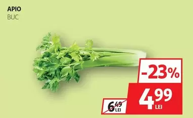 APIO