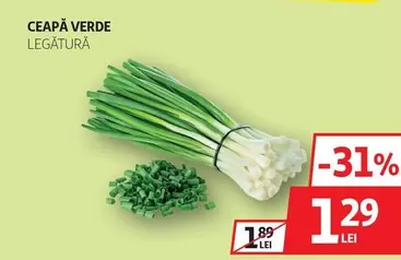 CEAPĂ VERDE LEGĂTURĂ