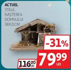 Actuel - STAUL NAȘTEREA DOMNULUI 38X21CM