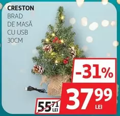 BRAD DE MASĂ CU USB 30CM