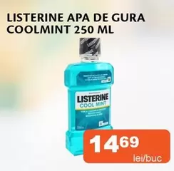 APA DE GURA COOLMINT