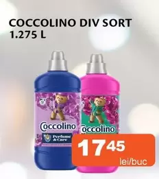 Coccolino - DIV SORT