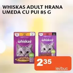 ADULT HRANA UMEDA CU PUI