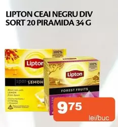 Forest - CEAI NEGRU DIV SORT