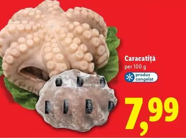 Caracatiță