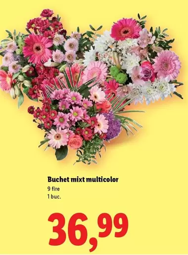 Buchet mixt multicolor