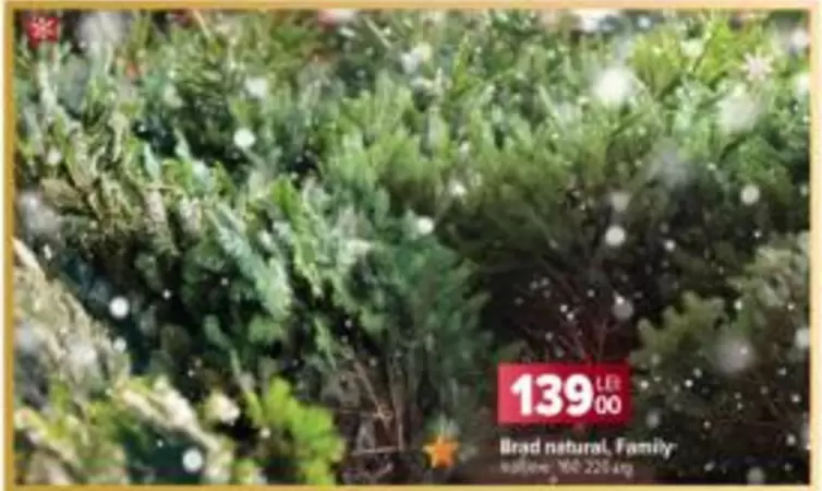 Brad natural, Family