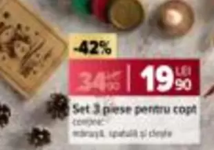 Set 3 piese pentru copt