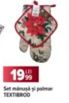 Set mănușă și palmar