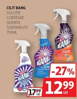 SOLUŢIE CURĂŢARE DIVERSE SORTIMENTE