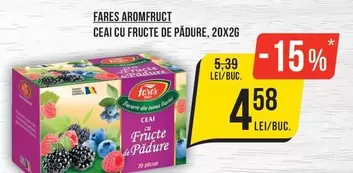 CEAI CU FRUCTE DE PADURE