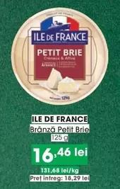 Brânză Petit Brie