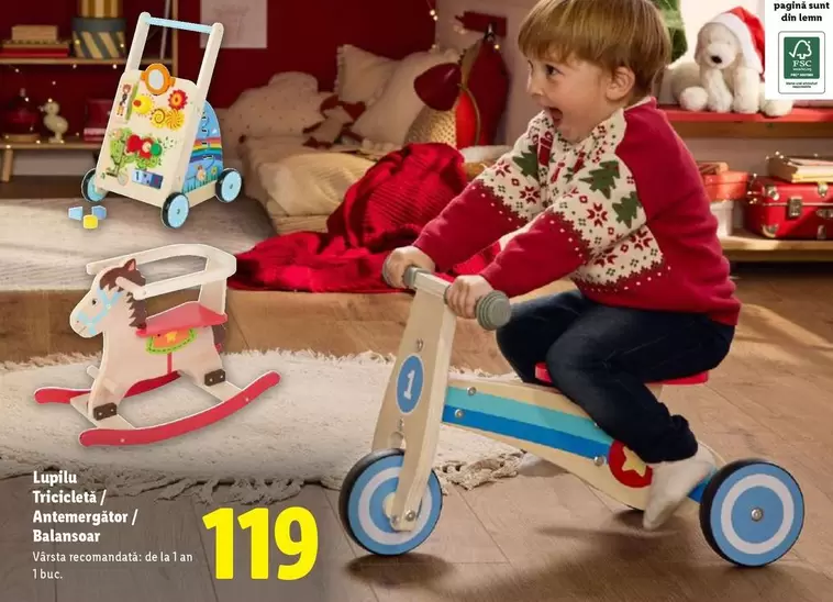 Lupilu Tricicletă/ Antemergător/ Balansoar