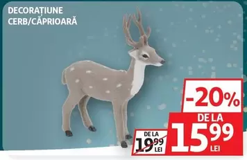 DECORAȚIUNE CERB/CĂPRIOARĂ