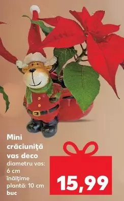 Mini crăciuniţă vas deco