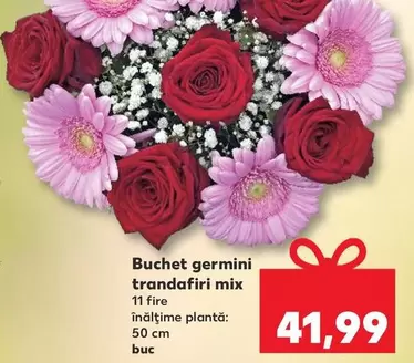 Buchet germini trandafiri mix