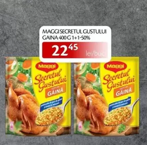 SECRETUL GUSTULUI GAINA