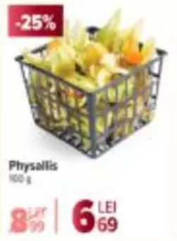 Physalis