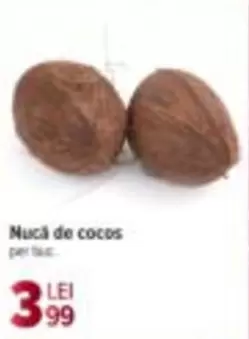 Nucă de cocos
