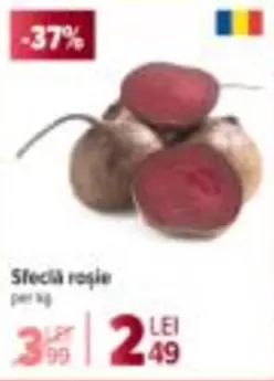 Sfeclă roșie