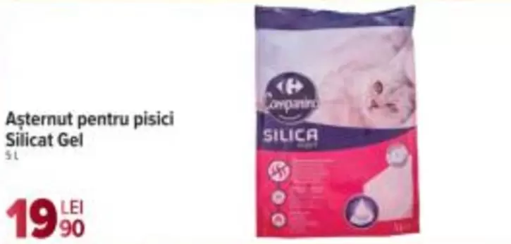 Așternut pentru pisici