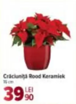 Crăciunița Rood Keramiek