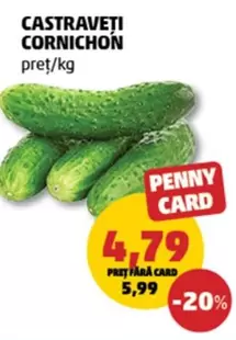 CASTRAVEȚI CORNICHON