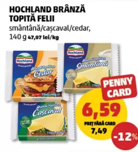 BRÂNZĂ TOPITĂ FELII