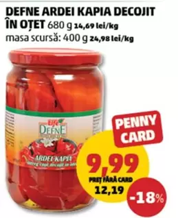 ARDEI KAPIA DECOJIT ÎN OTET