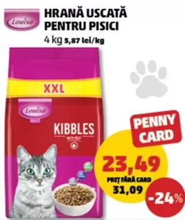 HRANĂ USCATĂ PENTRU PISICI