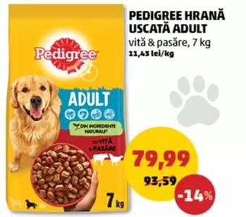 HRANĂ USCATĂ ADULT