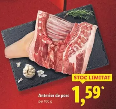 Anterior de porc