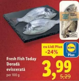 Dorada eviscerată