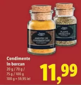 Condimente in borcan