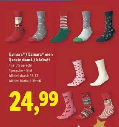 Şosete damă / bărbați