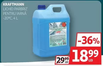 LICHID PARBRIZ PENTRU IARNĂ