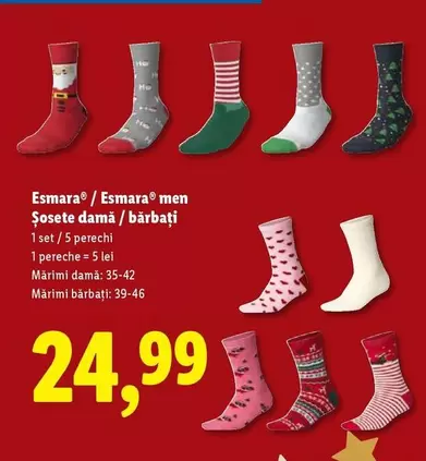 Şosete damă / bărbați