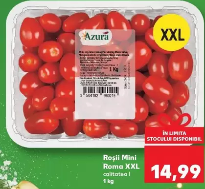 Roşii Mini Roma XXL