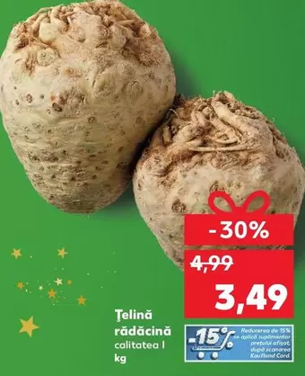 Țelină rădăcină