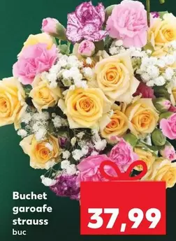 Buchet garoafe strauss