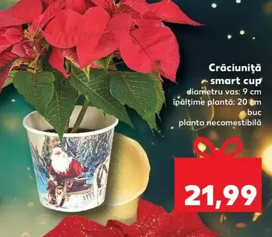 Crăciuniţă - smart cup