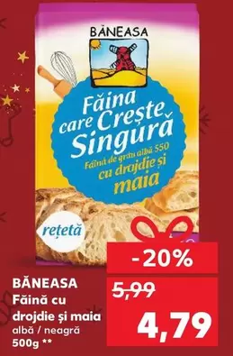 Făină cu drojdie şi maiα