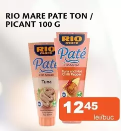 PATE TON / PICANT