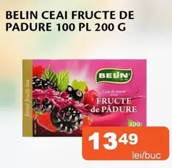 Forest - CEAI FRUCTE DE PADURE
