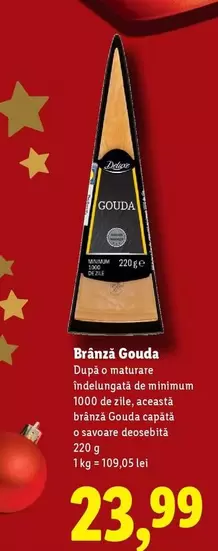 Gouda