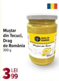Mustar din Tecuci, Drag de România