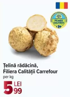 Țelină rădăcină