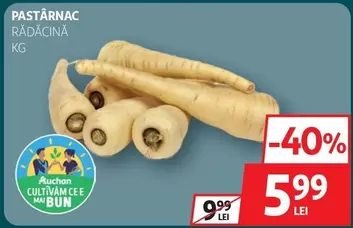 Auchan - PĂSTÂRNAC RĂDĂCINĂ