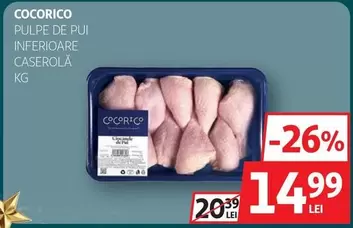 PULPE DE PUI INFERIOARE