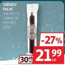 SALAM CU CARNE DE MISTREȚ